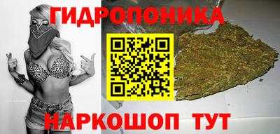мяу мяу мука Ливны