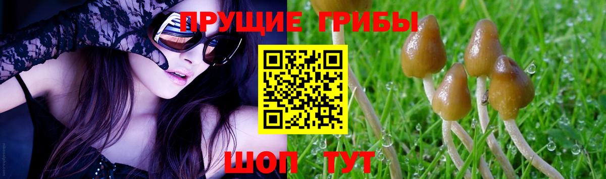 Добрянка  Псилоцибиновые грибы Psilocybe  Вход с VPN  как найти закладки  Псилоцибиновые грибы Magic Shrooms 
